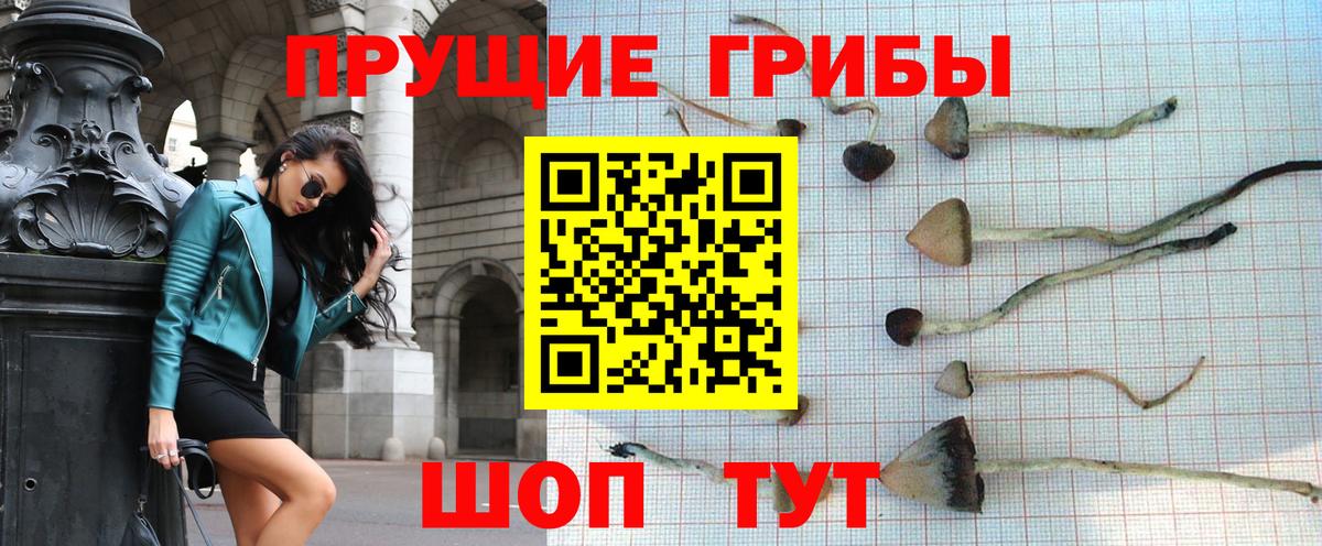 Псилоцибиновые грибы ЛСД Оренбург