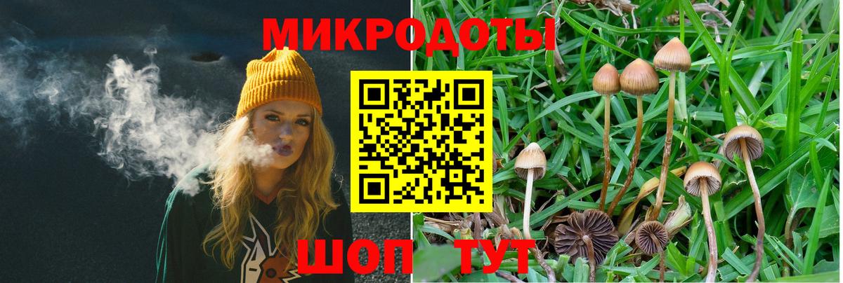 Псилоцибиновые грибы Psilocybe  Псилоцибиновые грибы Cubensis  Оренбург  цены наркотик  Вход с VPN 
